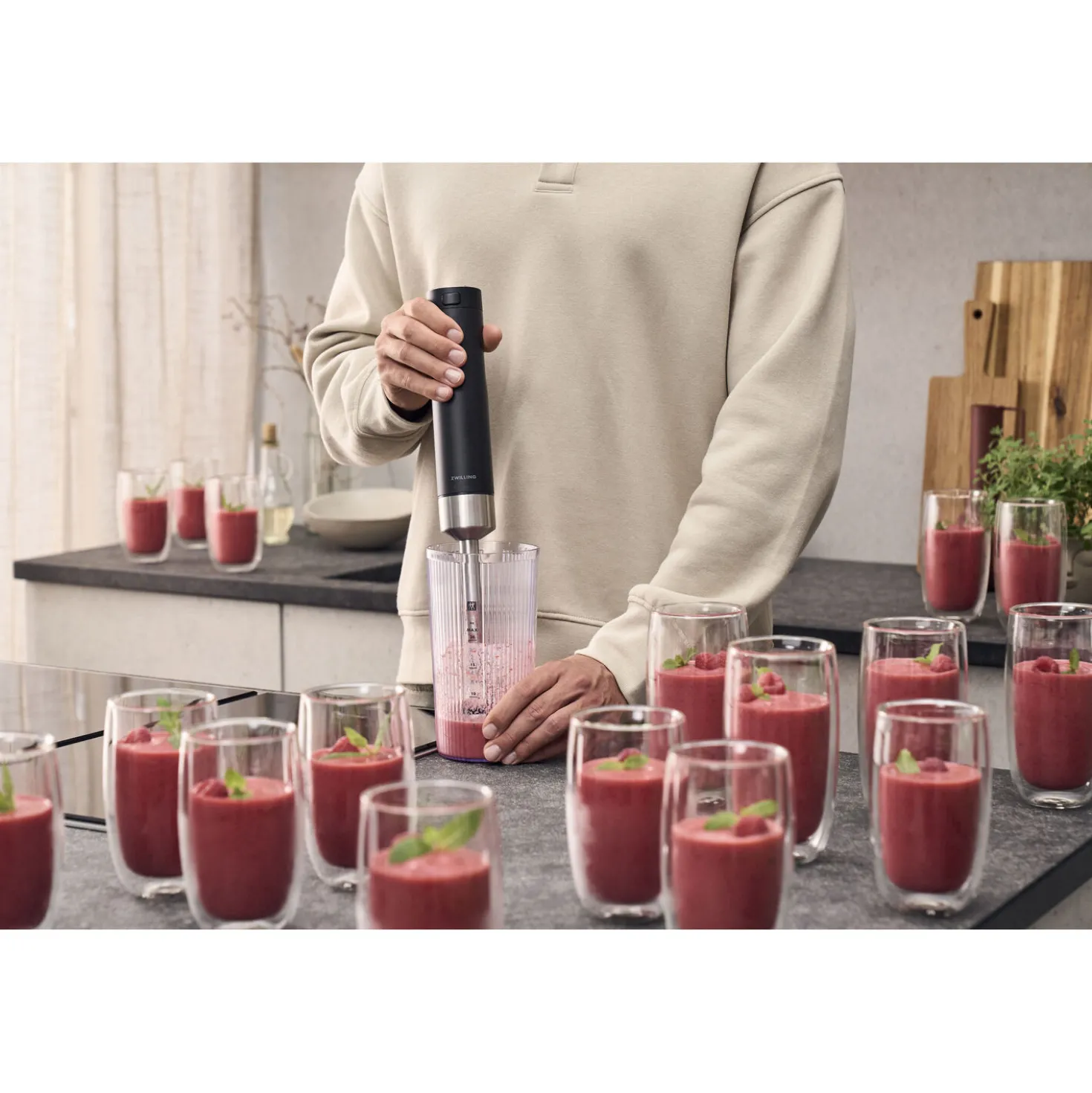 Cordless Hand Blender , Starter Set Including Battery