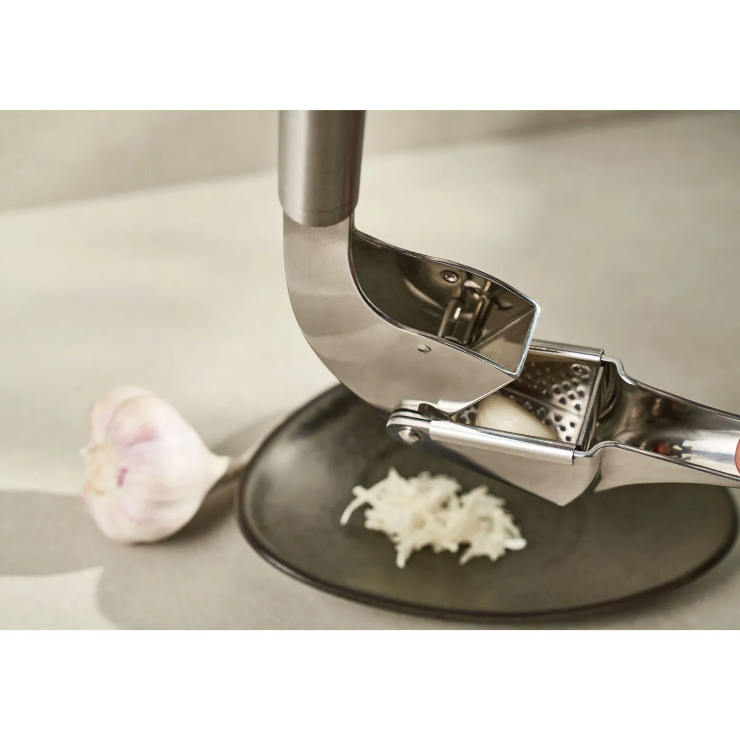 Garlic Press