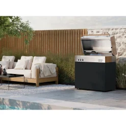 Natural gas grill, black matte