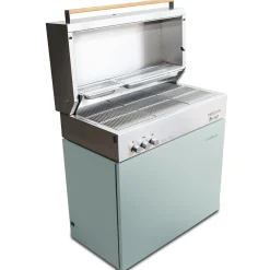 Natural gas grill, pool