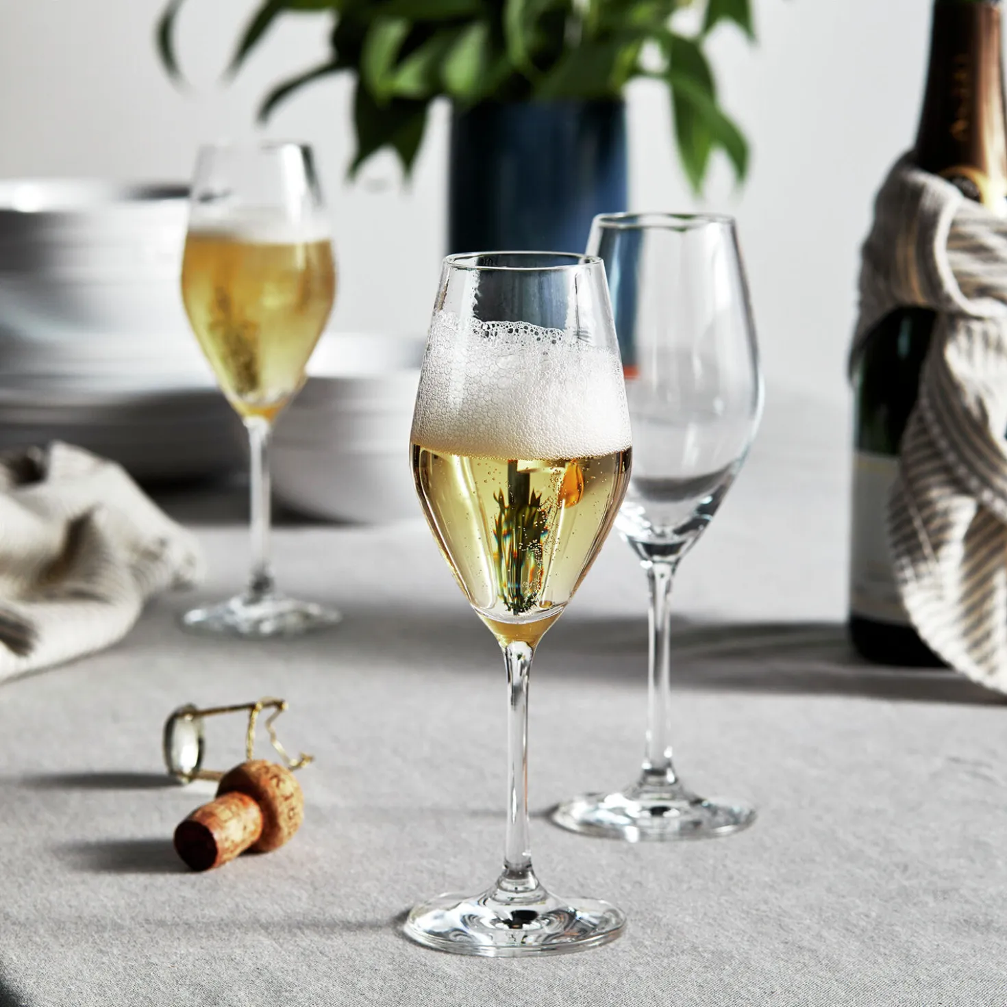 9.5-oz / 6-pc Champagne Set