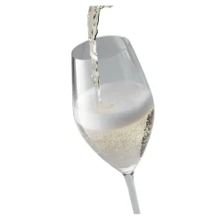 9.5-oz / 6-pc Champagne Set