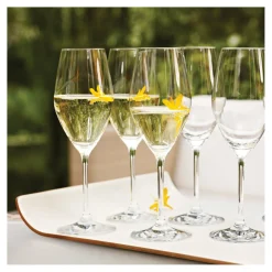 9.5-oz / 6-pc Champagne Set