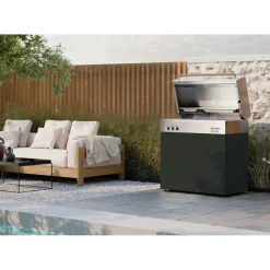 Propane gas grill, black matte