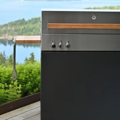 Propane gas grill, ruby