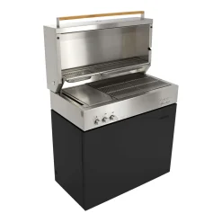 Teppanyaki